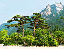 korea_ulsan